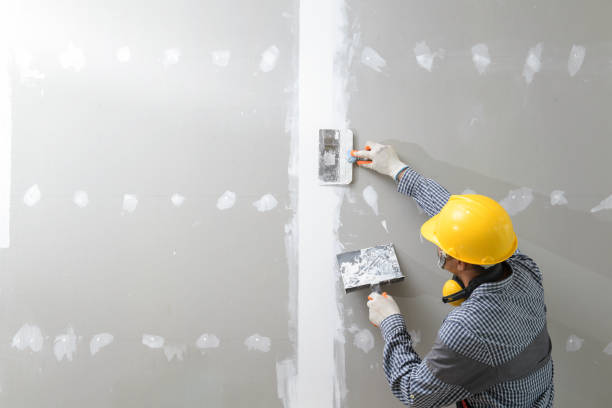 Reliable Mendota, IL Drywall & Painting Services Solutions